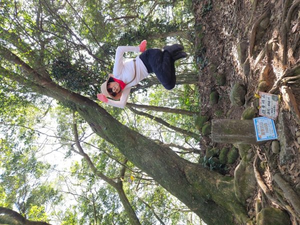 20260119飛沙縱走東段加碼9連峰大O走2988922