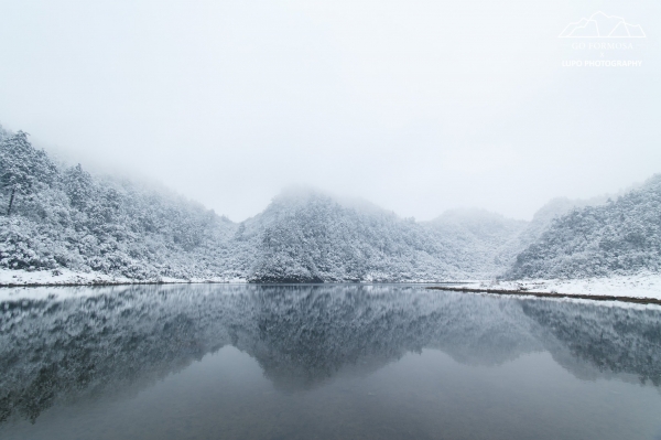 【攝野紀】夢幻般的雪中松蘿湖264548