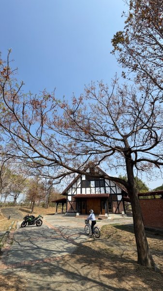 🚴‍♂️ 台南單車慢漫遊3003321