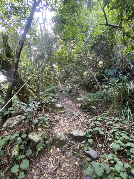 20250713-Ep.10李崠山步道-2025森遊竹縣皮皮獅探險隊2851951