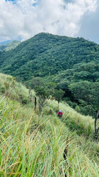 烘爐地山、桶後溪源頭O走2593143