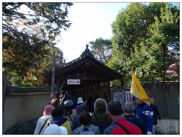 京都/東福寺的紅葉755239