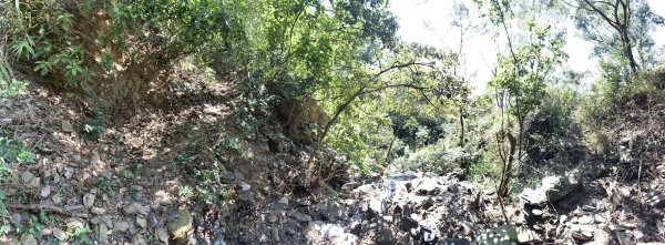 20250301屏東戶亞宇山主峰-基點峰2732978