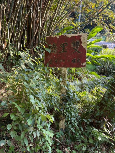 新北 林口 森林步道3015278