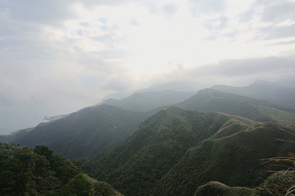 灣坑頭山 桃源谷步道 連走2034852