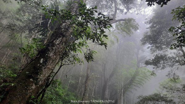 《雲林》望好望角｜石壁山嘉南雲峰步道(中側登山口）202506072805358
