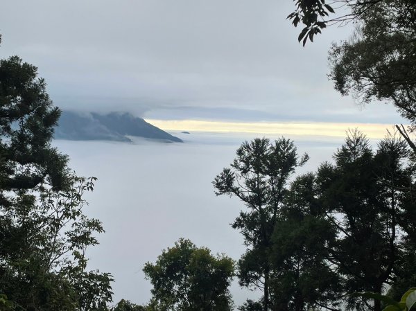 小百岳(68)-藤枝山-202212182053045