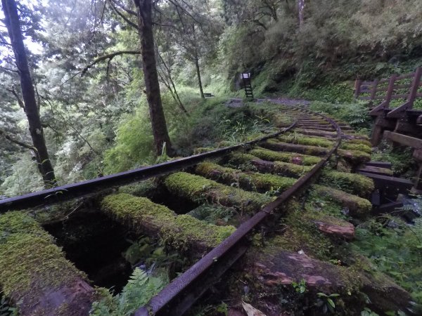 太平山見晴古道1457877