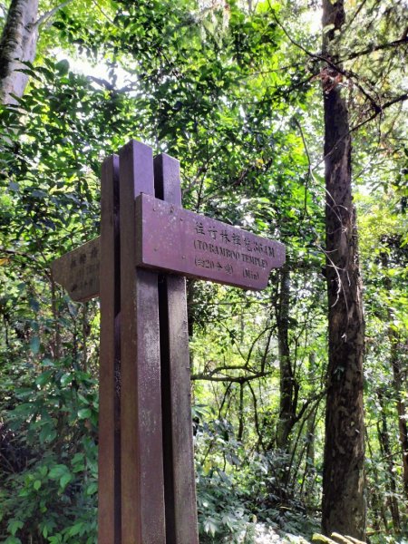 五指山登山步道2269249