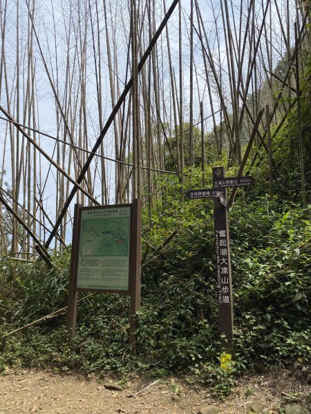 奮起湖大凍山3060272