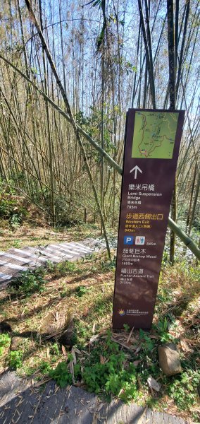 2025-01-30迷糊步道2704436