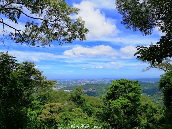 【新竹。芎林】綠蔭成徑。 小百岳集起來。編號27小百岳-中坑山x飛鳳山1443345