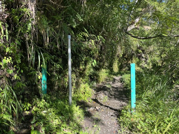 [玉山尋寶任務-03/12] 2025_0810 瓦拉米步道2857530