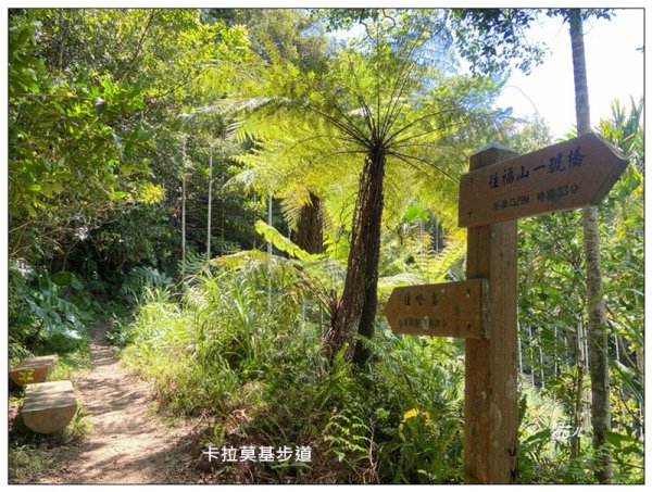 卡拉莫基步道、哈盆古道、波露南山 連走3094802
