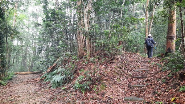 《苗栗》台鐵舊山線｜三義勝興鐵道覓境及挑柴古道O繞202501192693527