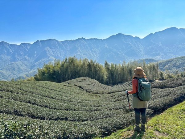 溪頭六連峰O繞2741756