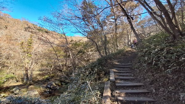濟州島漢拏山-靈室路線上2942633
