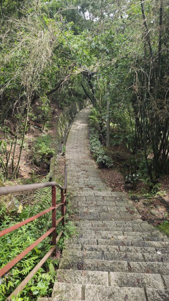 2025-0512內湖到中社2784807