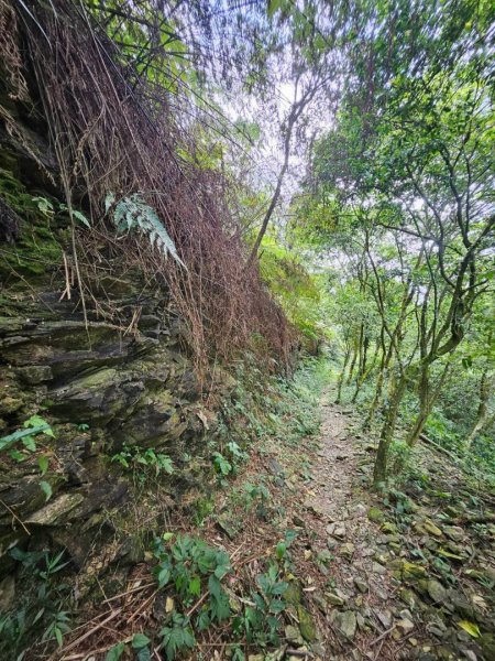 20260929泰武 虻彈山 桑留守山O繞3124979