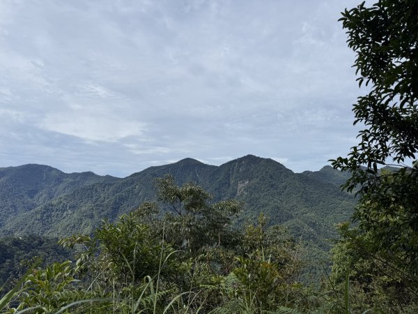 唐麻丹+蝴蝶谷O繞2887832