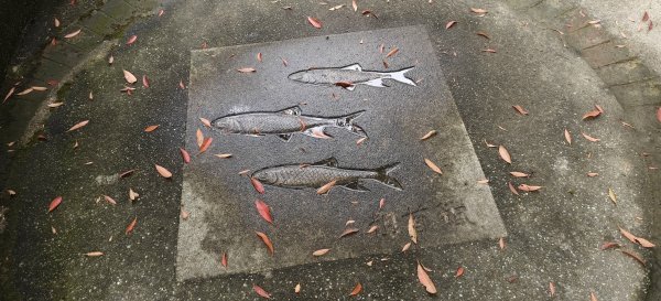 2026/05/01 苗栗鐘樓古道3046681