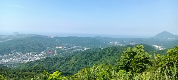 瑞芳區長興宮-粗坑口步道-觀音堂步道-碇內尖-長興宮O型3079012