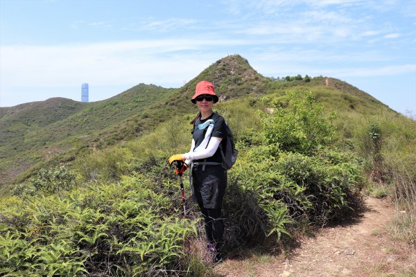 HK - 大石磨950008