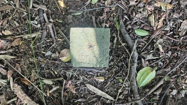 20250925柑子坑山動01-動04-市929-市582894936