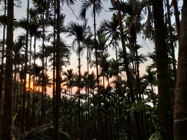 關子嶺大凍山814071