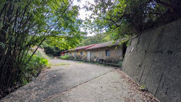 龜媽坑古道,雪山尾稜南段,草嶺古道2354617