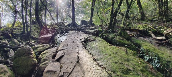 2025/04/04_加里山登山步道2755035