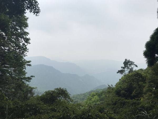 新店獅仔頭山126100