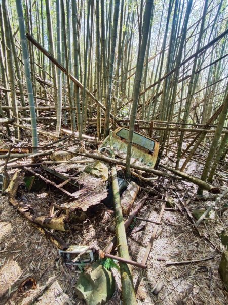 大雪山長壽三崠2691112