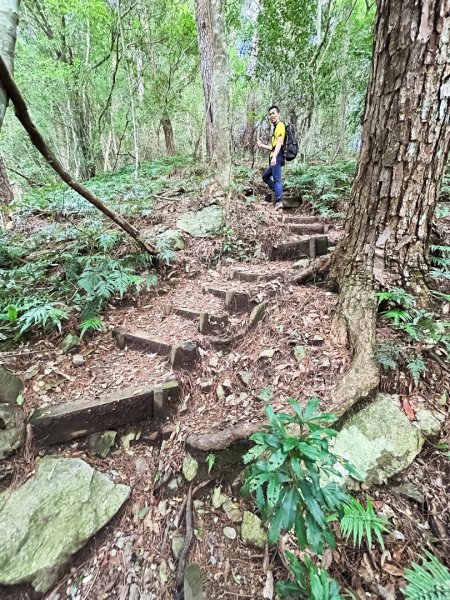 屋我尾山-完成最後一張拼圖2607004