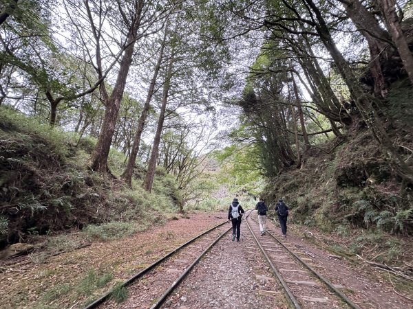 眠月線健行2992992