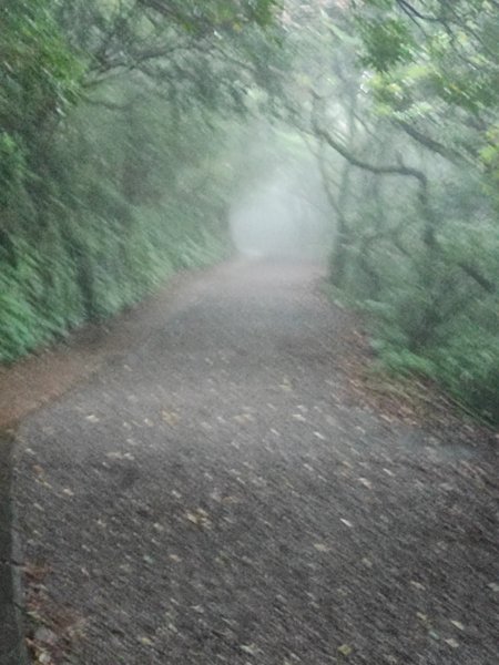 臺北大縱走第一段：關渡至二子坪2790238