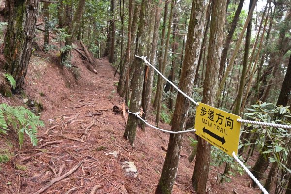 谷關七雄-馬崙山1st2888305