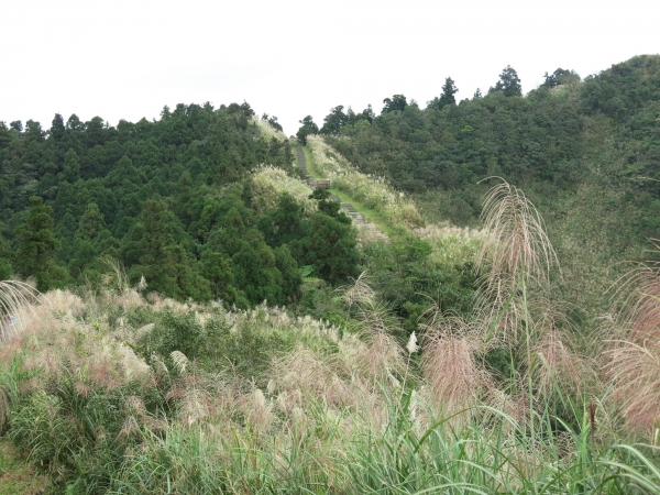 五分山萬里長城步道54736