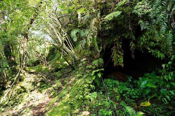 新北 平溪 薯榔尖、石筍尖、魔神仔洞2772545