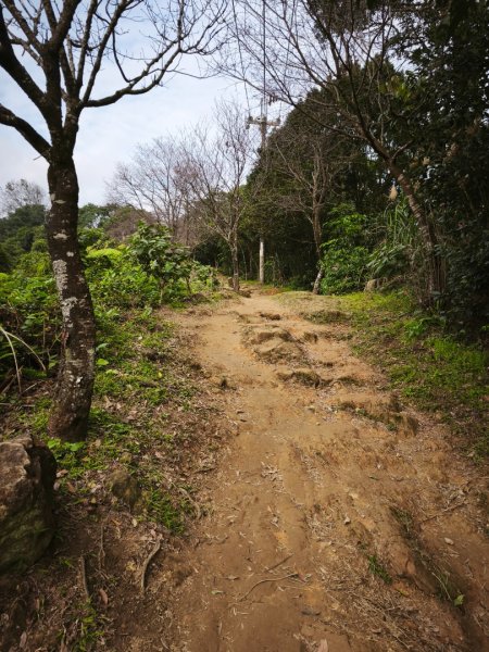 20260126微笑山線烘爐地段2989050