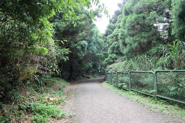 小百岳NO.1大屯山 。〔陽明山〕夢幻湖步道竹嵩山 擎天崗環形步道2151863