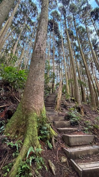 加里山 2025 12/282971691