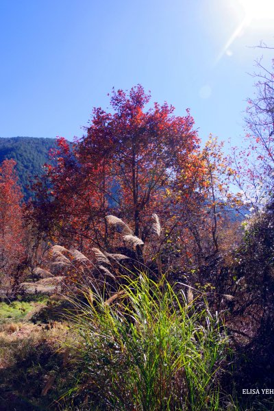 桃山瀑布步道1238781