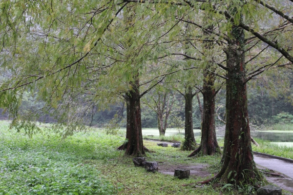 福山植物園77409