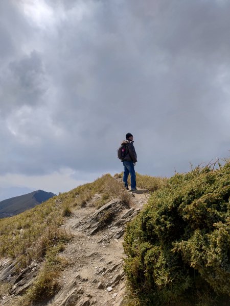 合歡山主峰1319135