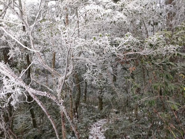 雪季北得拉曼2956394