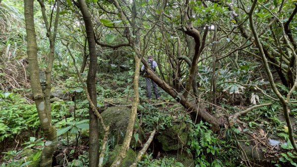 114.06.08門牙岩之O型2806623