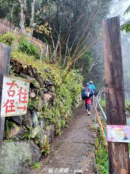 【新竹。尖石】蜿蜒車程比山行還辛苦。 小百岳集起來。 編號28小百岳~李崠山步道x合興車站1616925