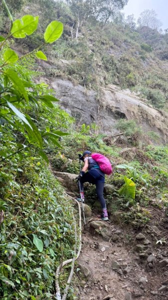 【台南白河】雞籠山+九龍山+大凍山O繞縱走2797146