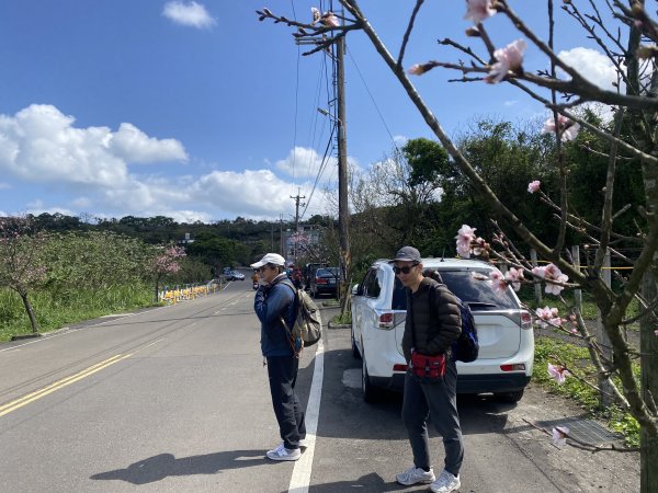 🚗從淡金公路出發｜三生步道櫻花與田園風光・春日療癒散步3018725